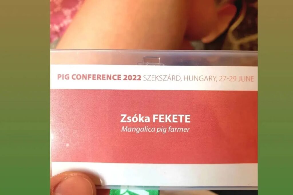InterPIG és az agribenchmark Pig Network globális sertéságazati szakértői hálózatok éves z…