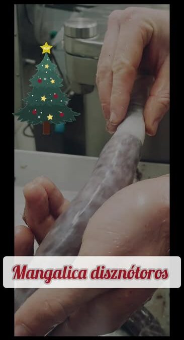 Karácsony előtt December 16-án pénteken megyünk a Lehel piacra.
