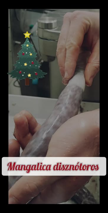 Karácsony előtt December 16-án pénteken megyünk a Lehel piacra.