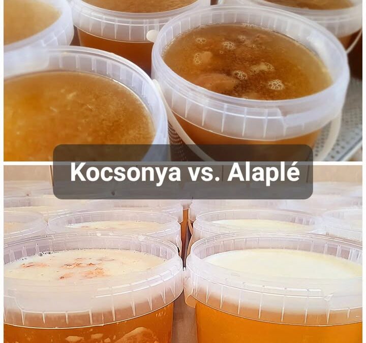 Mangalica Kocsonya vagy terápiás alaplé legyen a pénteki piacon?