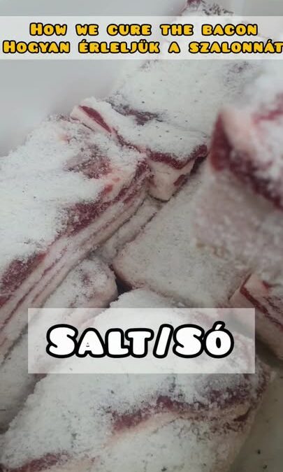 Hogyan is készül a füstölt húsos szalonna?!🥓 Először is sóban érleljük a szalonnákat, majd…