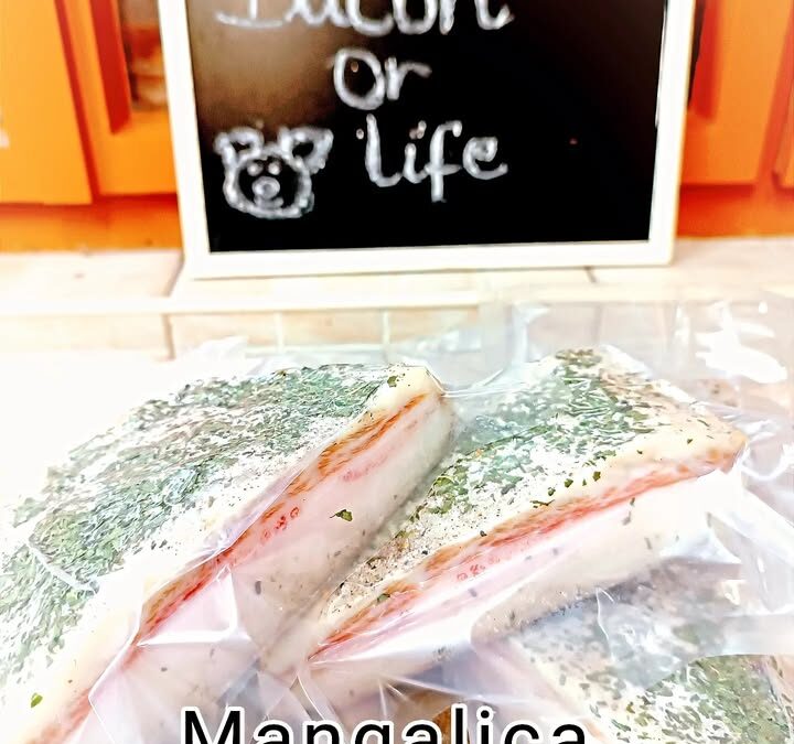 Saját fűszerezésű, érlelt mangalica tokaszalonna, azaz „lardo”.