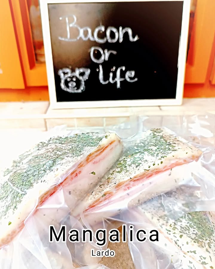 Saját fűszerezésű, érlelt mangalica tokaszalonna, azaz "lardo".