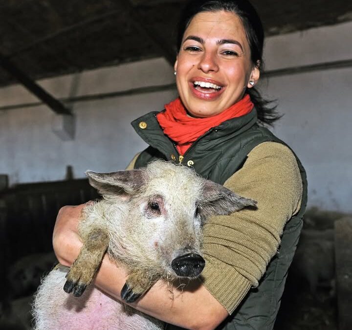 Boldog Új Évet kívánok Nektek❗🍀🐷 Nagyon elfáradtunk a karácsonyi és szilveszteri hajtás ut…