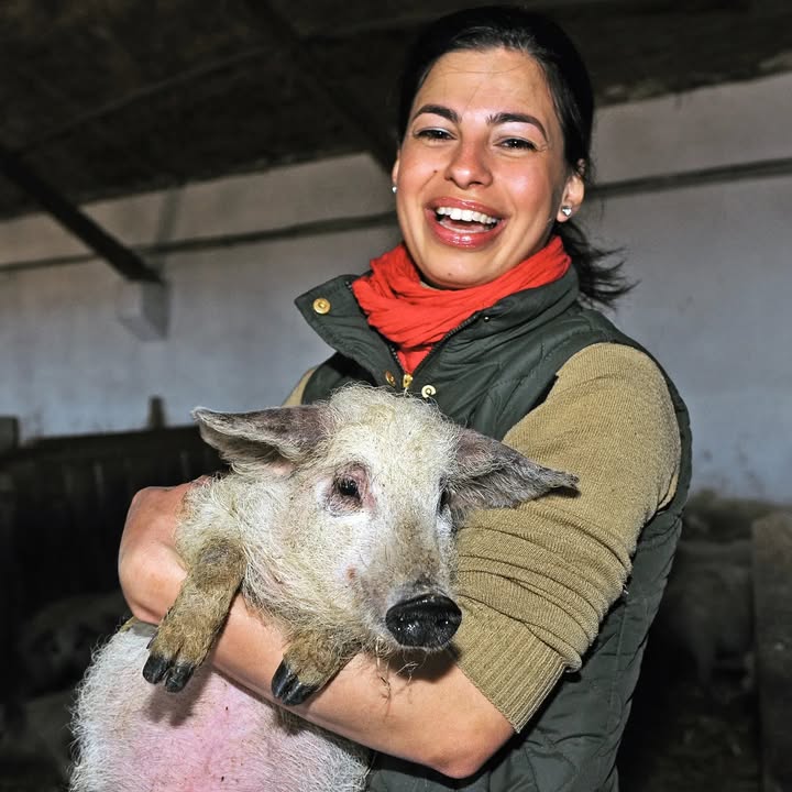Boldog Új Évet kívánok Nektek❗🍀🐷 Nagyon elfáradtunk a karácsonyi és szilveszteri hajtás ut…