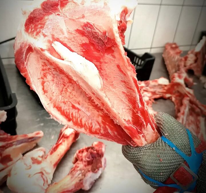 Mangalica lapocka csont.