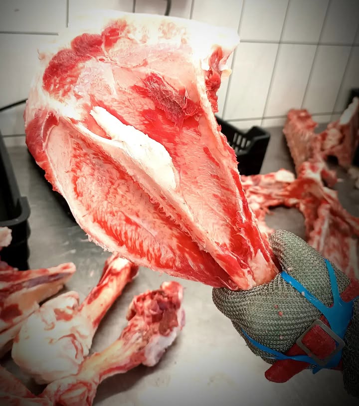 Mangalica lapocka csont.