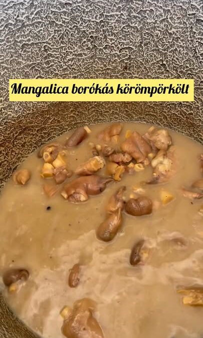Május 16-án, pénteken újra várlak benneteket a Lehel piacon 12:00 és 15:00 között, a Váci…