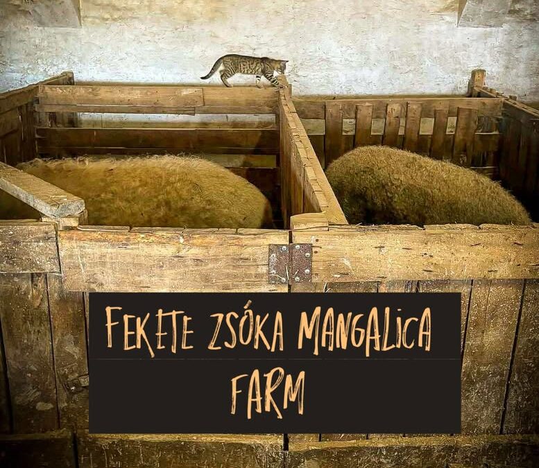 🐾 Új munkatárs a farmon.