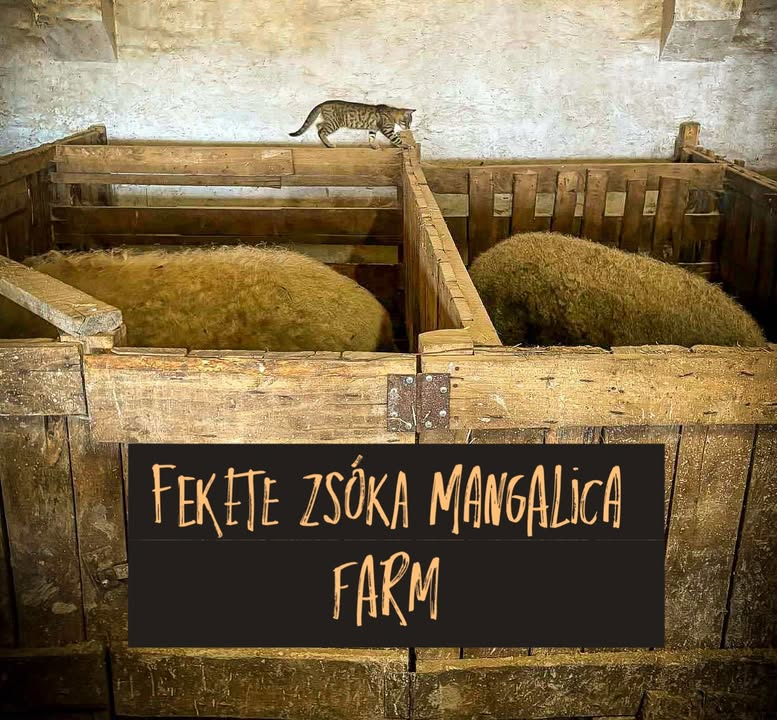 đŸ Ăj munkatĂĄrs a farmon.