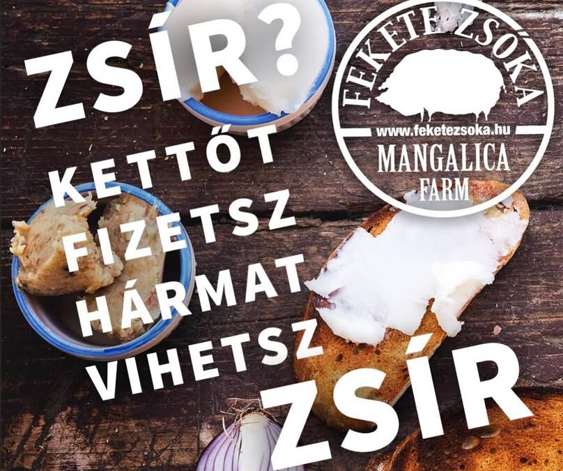 Augusztus 15.