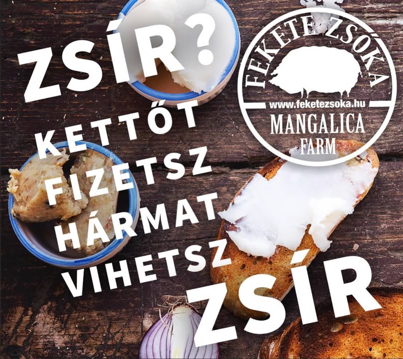 Augusztus 15.
