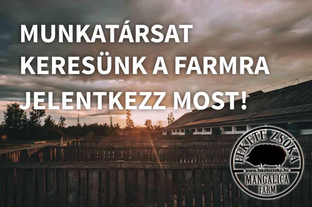 🐷 Állattartó – Sertéstartásban jártas kollégát keresek 🐷 Olyan rugalmas, energikus és fele…