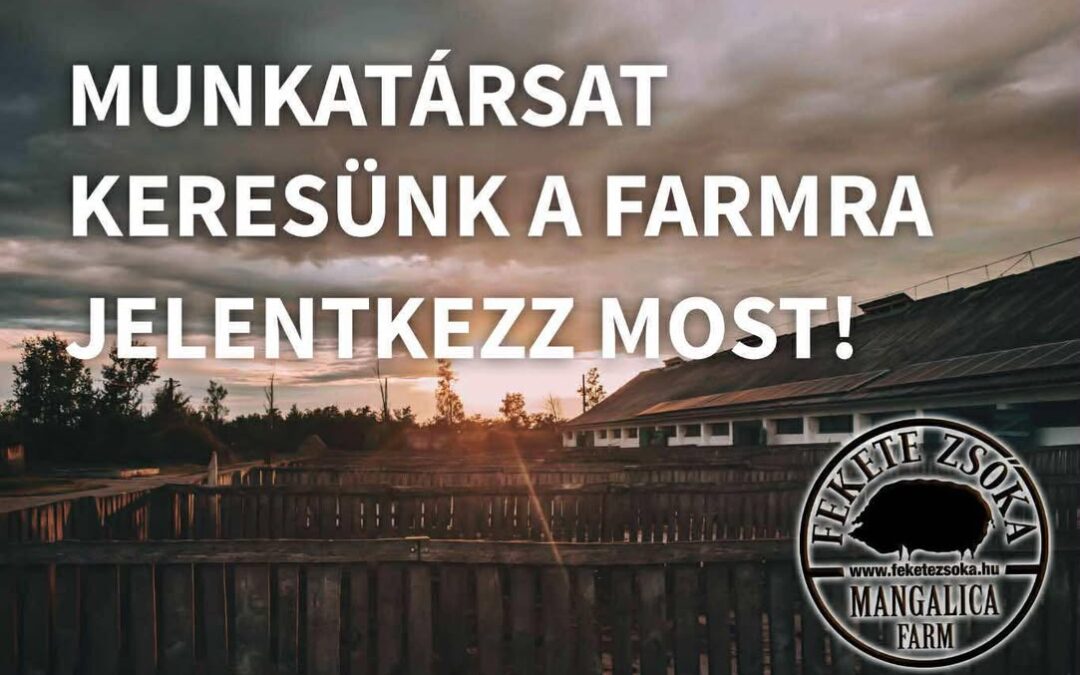 🐷 Állattartó – Sertéstartásban jártas kollégát keresek 🐷 Olyan rugalmas, energikus és fele…