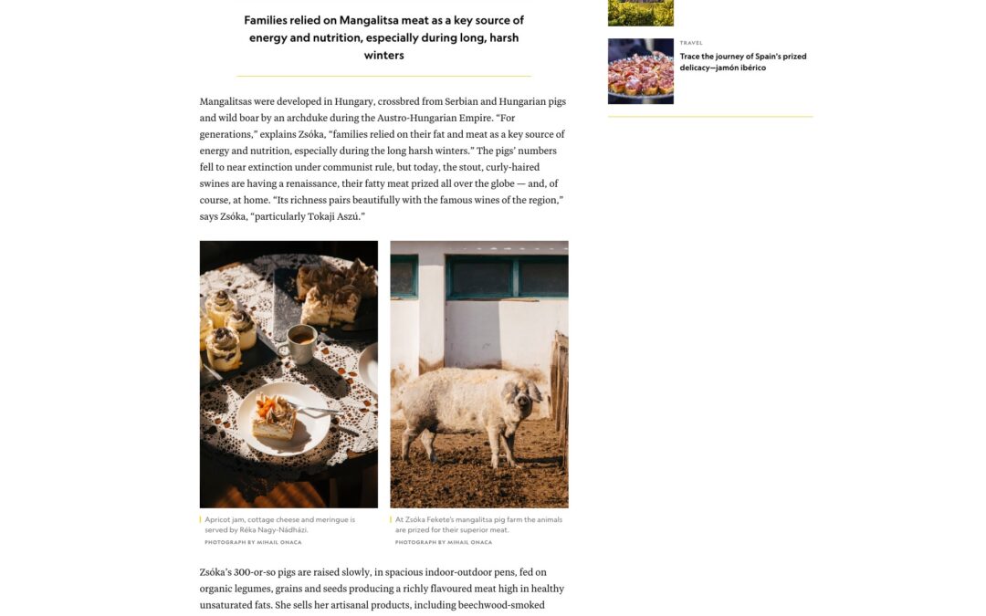 National Geographic Travel: The hidden European wine region for food-lovers to visit now
