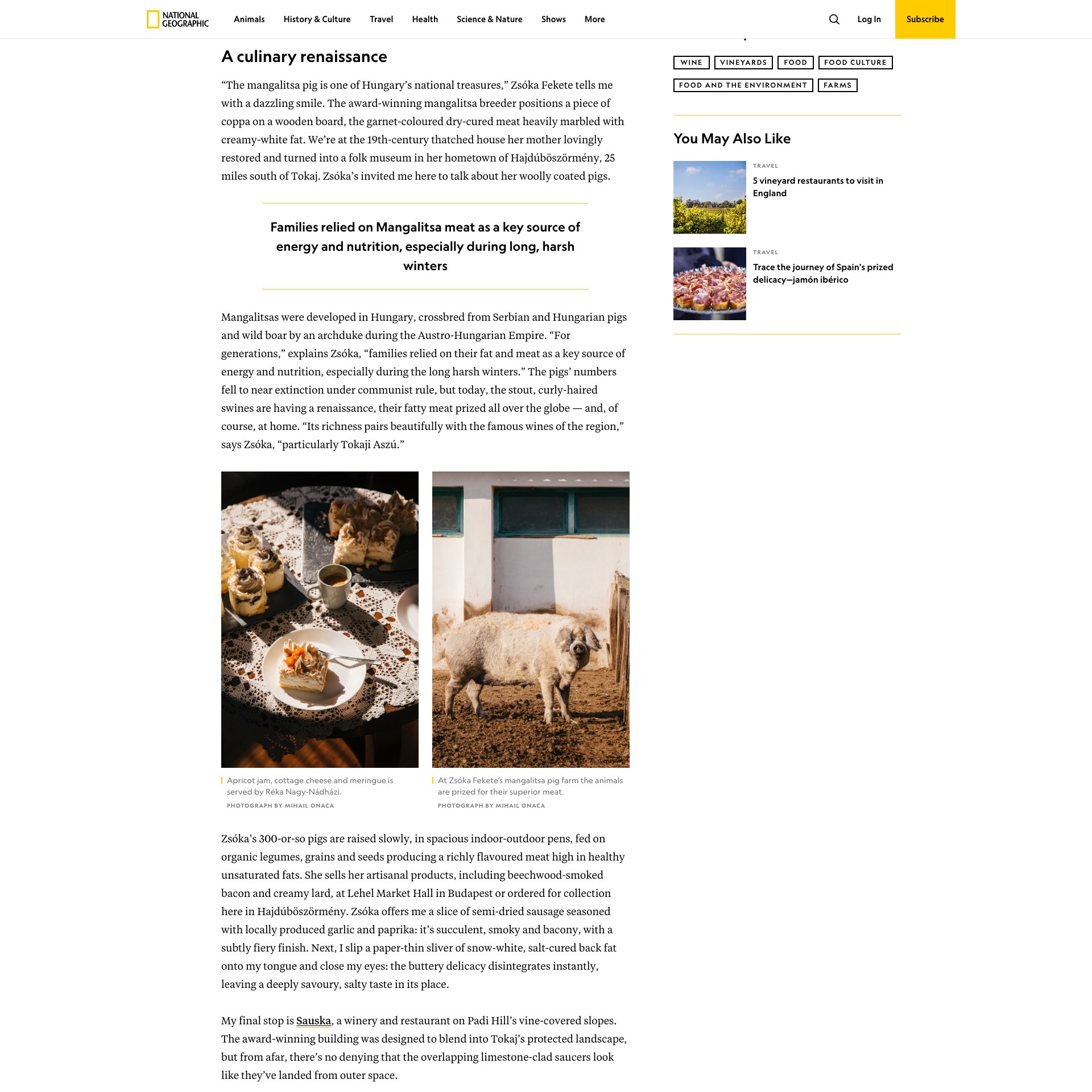 National Geographic Travel: The hidden European wine region for food-lovers to visit now