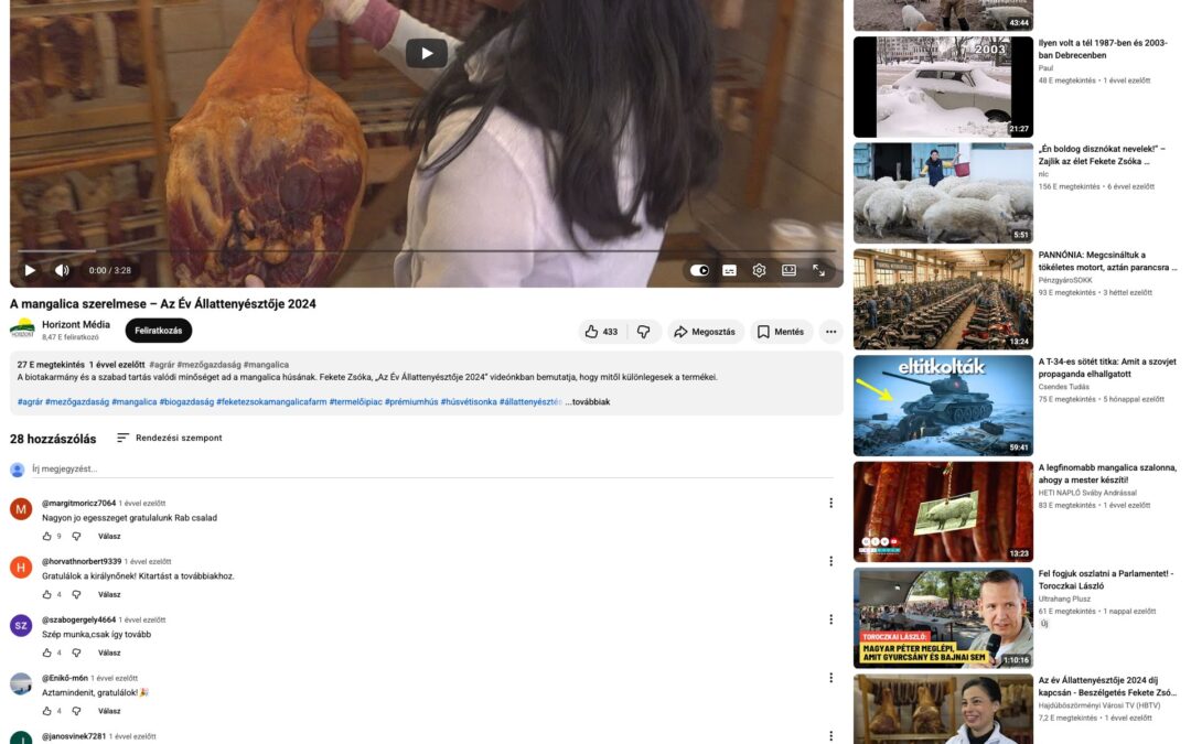 YouTube: A mangalica szerelmese – Az Év Állattenyésztője 2024