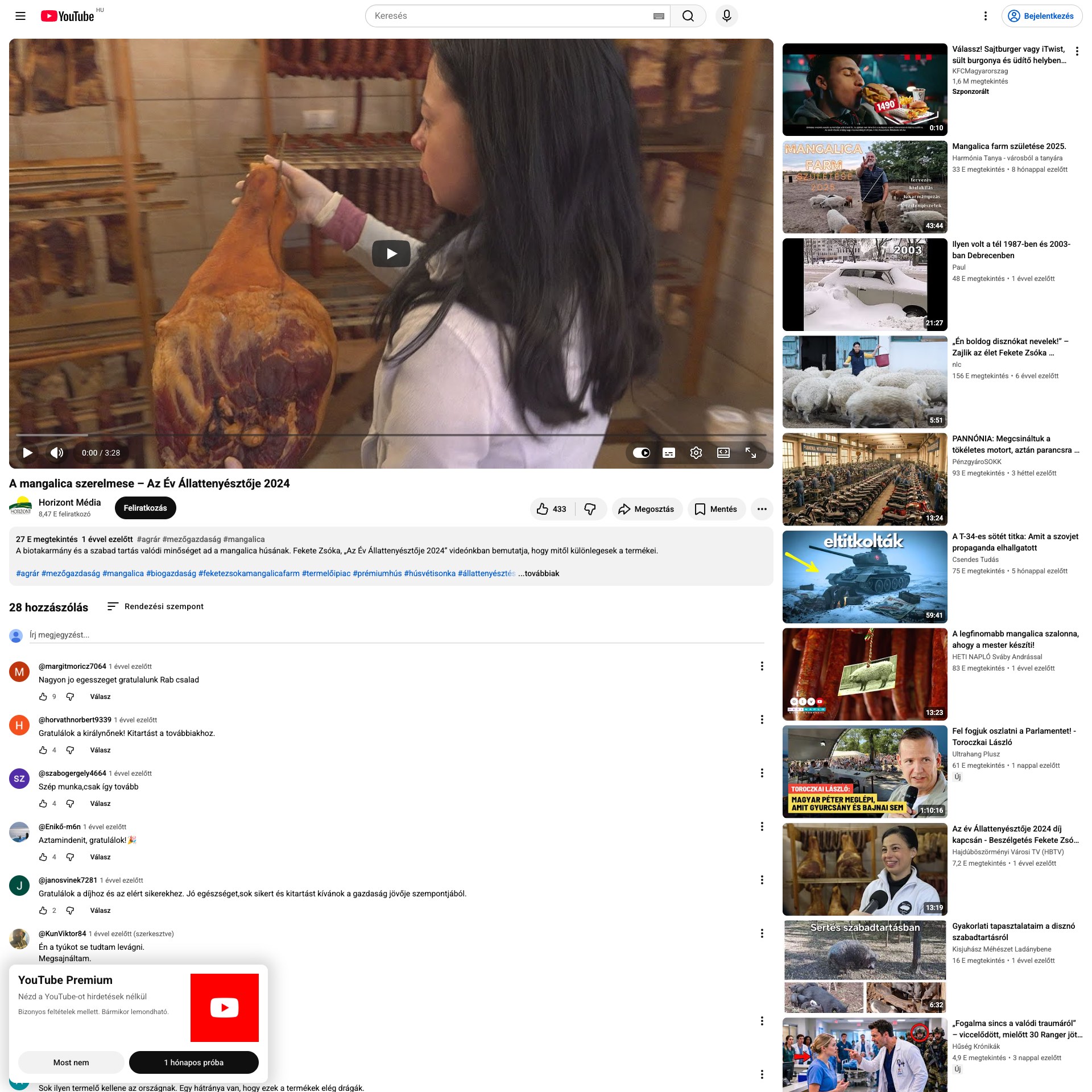 YouTube: A mangalica szerelmese – Az Év Állattenyésztője 2024
