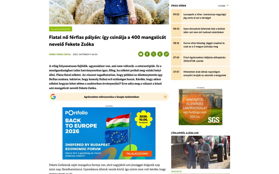 Agrárszektor: Fiatal nő férfias pályán: így csinálja a 400 mangalicát nevelő Fekete Zsóka