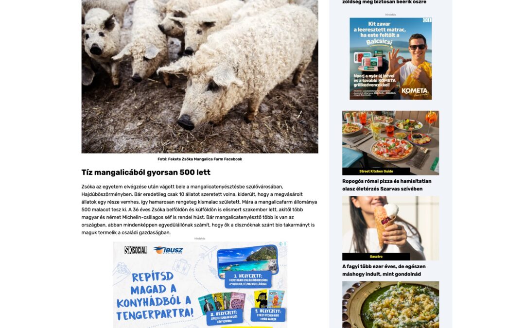 Street Kitchen: Magyar mangalicatenyésztő lányt ünnepelnek külföldön