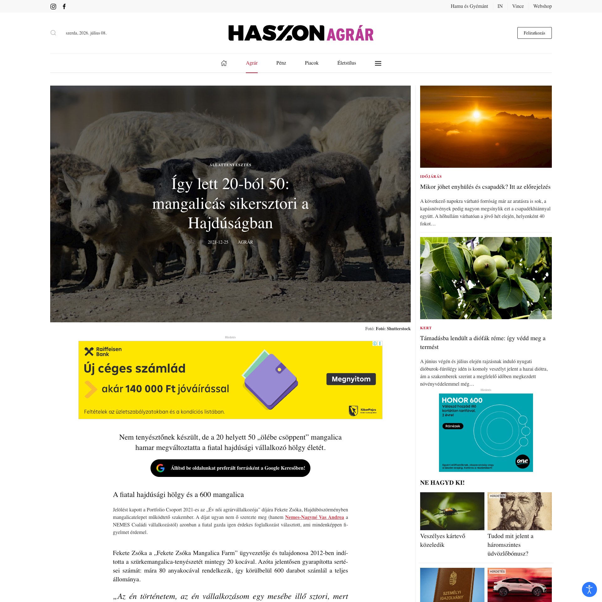 Haszon Agrár: Így lett 20-ból 50: mangalicás sikersztori a Hajdúságban