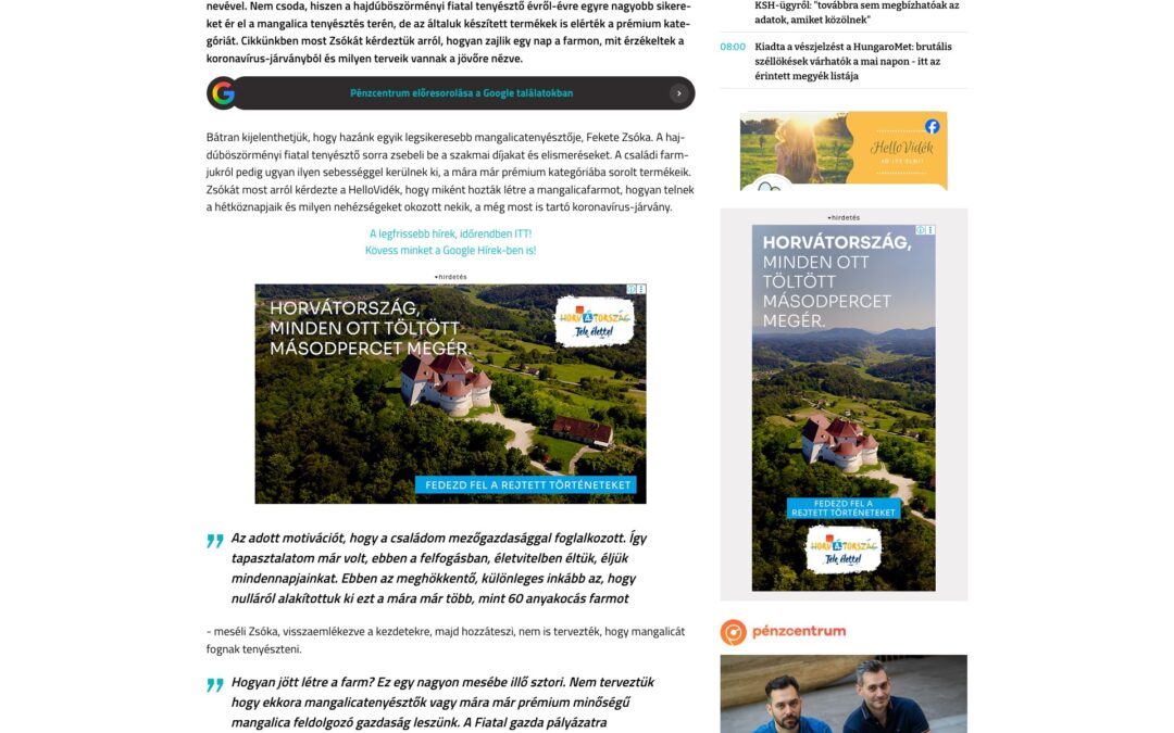HelloVidék: Így úszta meg a koronavírus-válságot a mangalicák magyar királynője