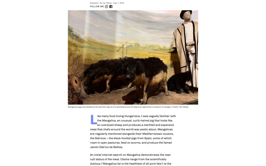 Offbeat Budapest: The Unsung Hero Of Fine Dining: The Mangalica Pork