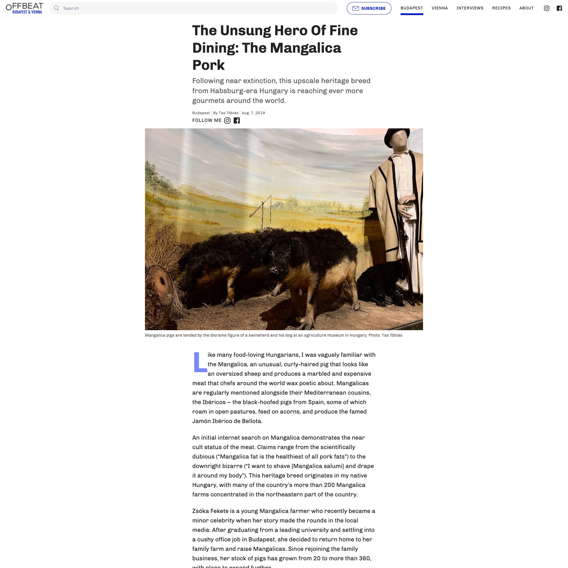 Offbeat Budapest: The Unsung Hero Of Fine Dining: The Mangalica Pork