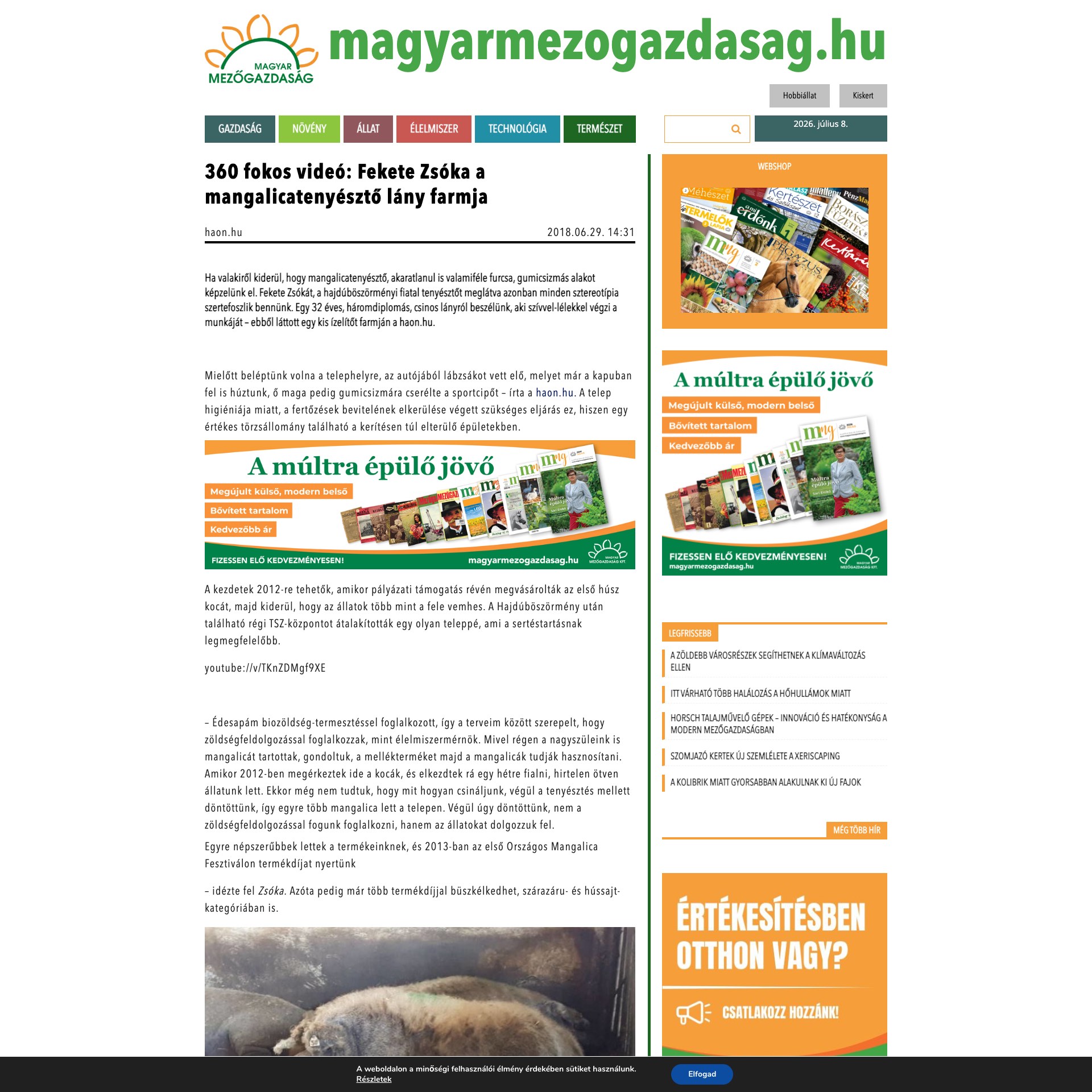Magyar Mezőgazdaság: 360 fokos videó: Fekete Zsóka a mangalicatenyésztő lány farmja