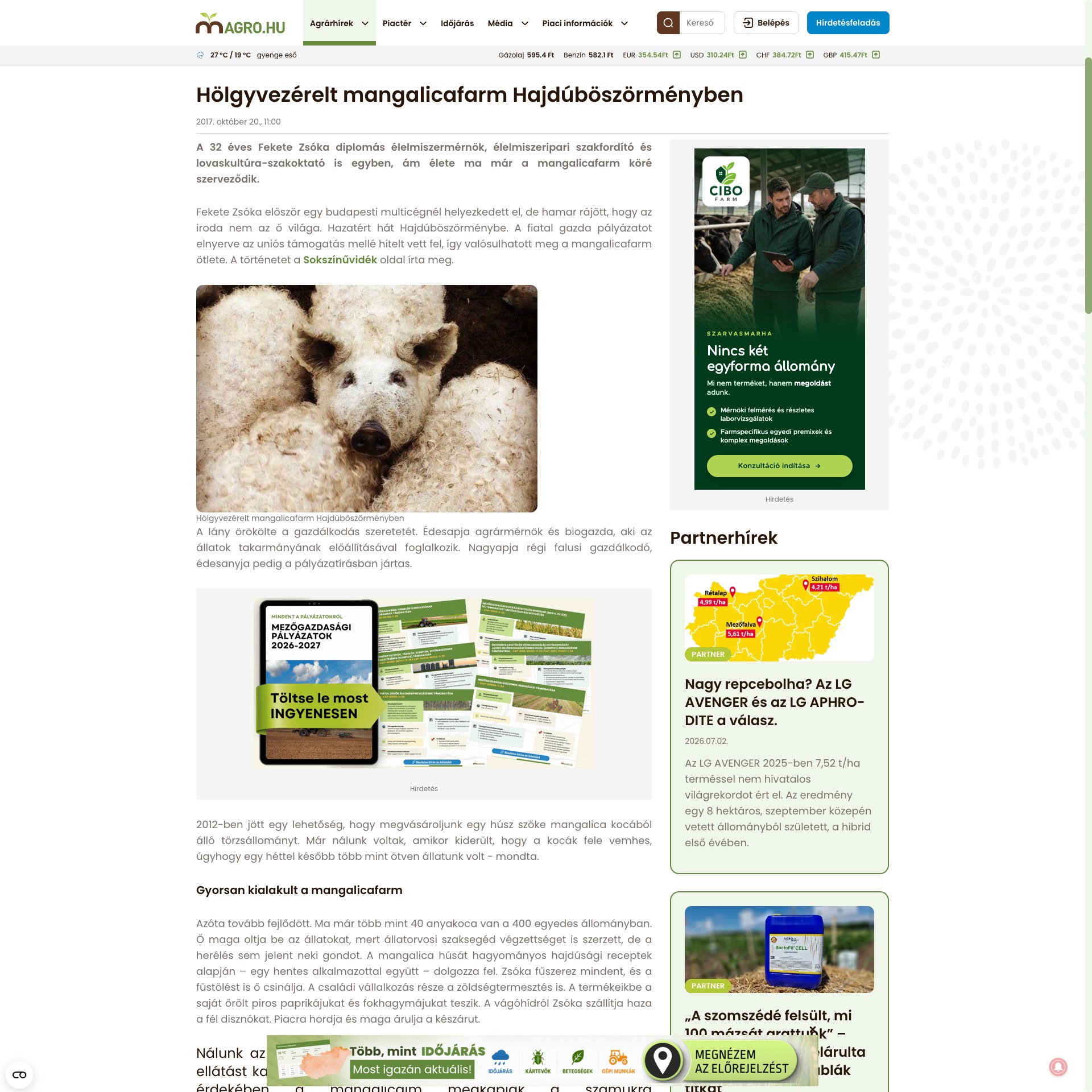 Magro.hu: Hölgyvezérelt mangalicafarm Hajdúböszörményben