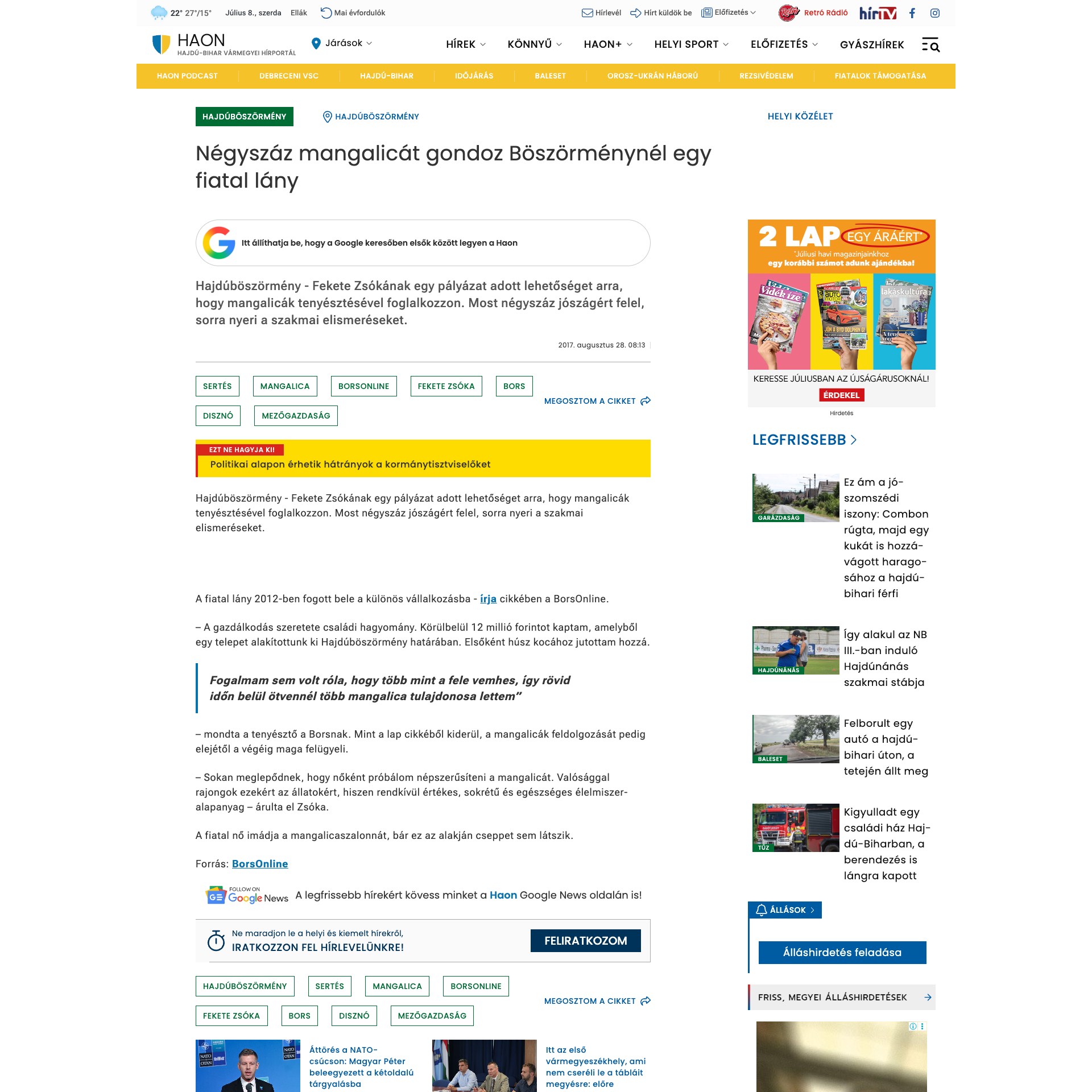 HAON: Négyszáz mangalicát gondoz Böszörménynél egy fiatal lány