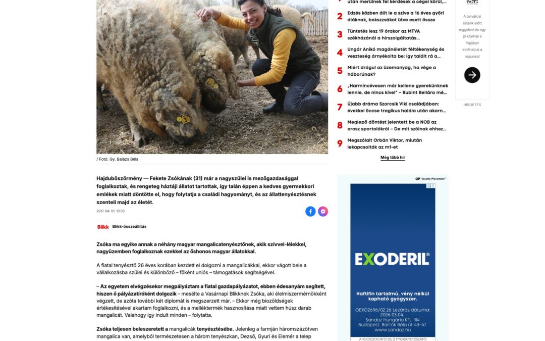Blikk: Nem csak csinos, az állatokhoz is ért: 350 mangalicát tenyészt Zsóka