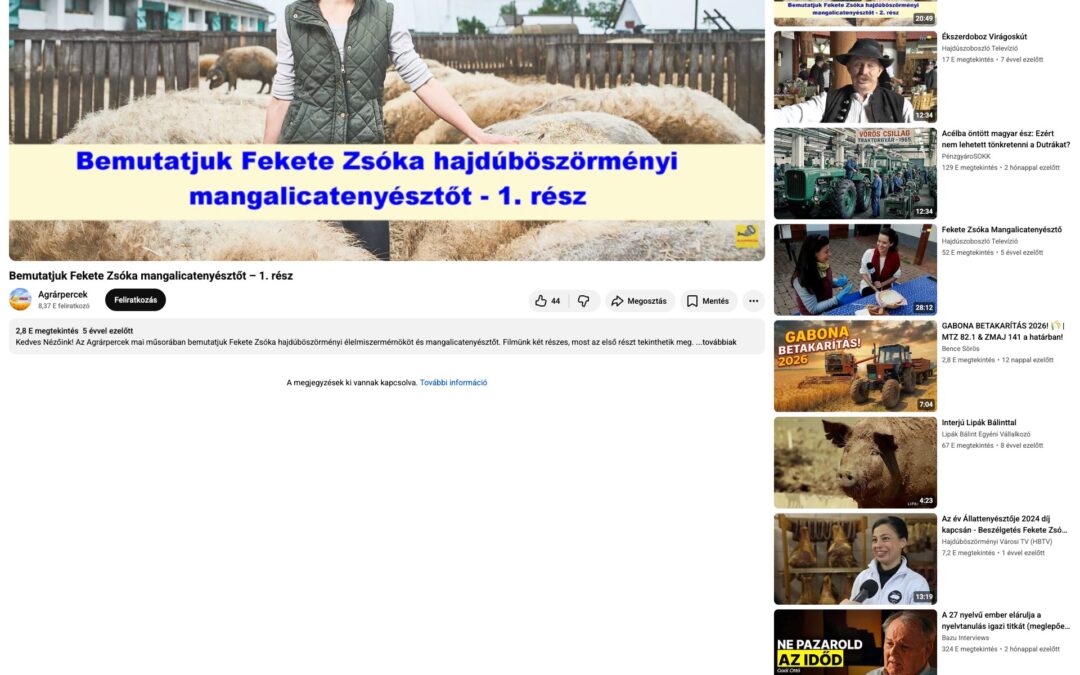 YouTube – Hajdúszoboszló Televízió / Agrárpercek: Bemutatjuk Fekete Zsóka mangalicatenyésztőt – 1. rész