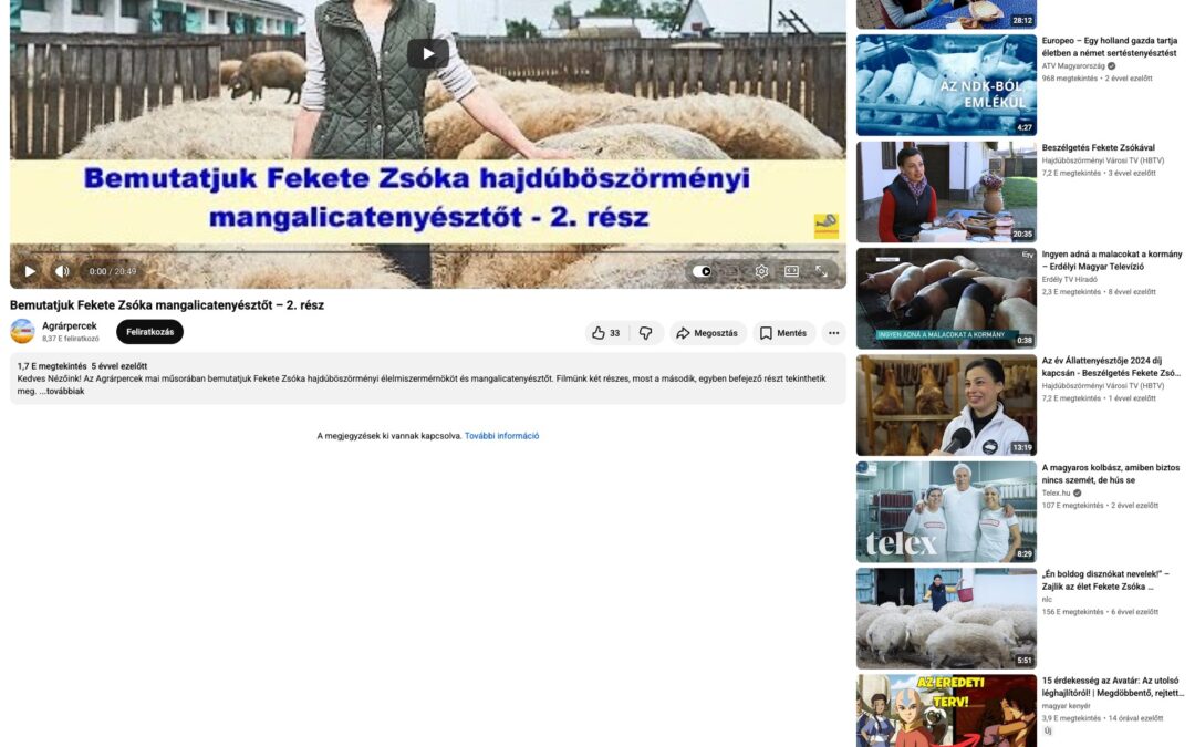 YouTube – Hajdúszoboszló Televízió / Agrárpercek: Bemutatjuk Fekete Zsóka mangalicatenyésztőt – 2. rész