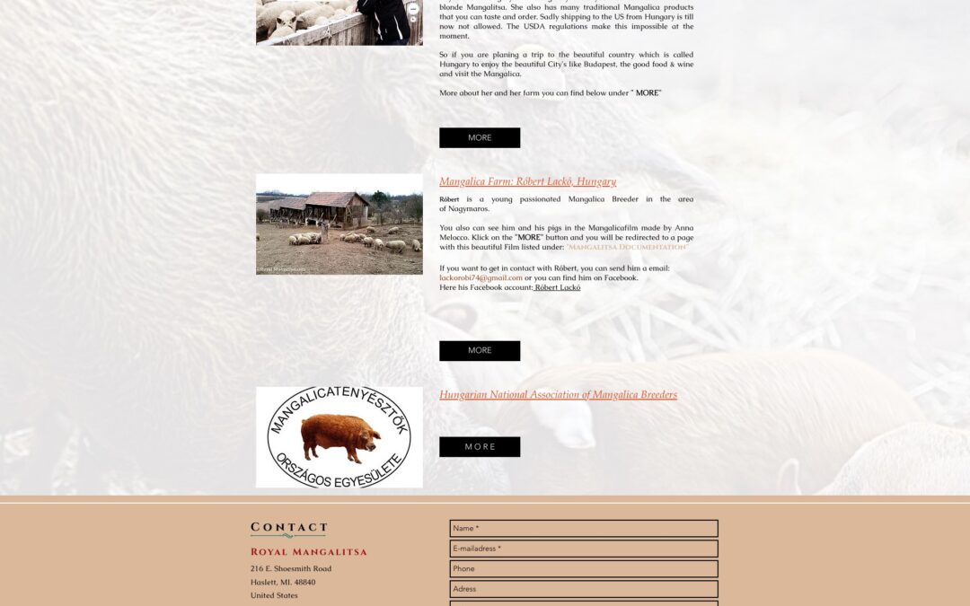 Royal Mangalitsa: Mangalica Farm: Zsoka Fekete, Hungary