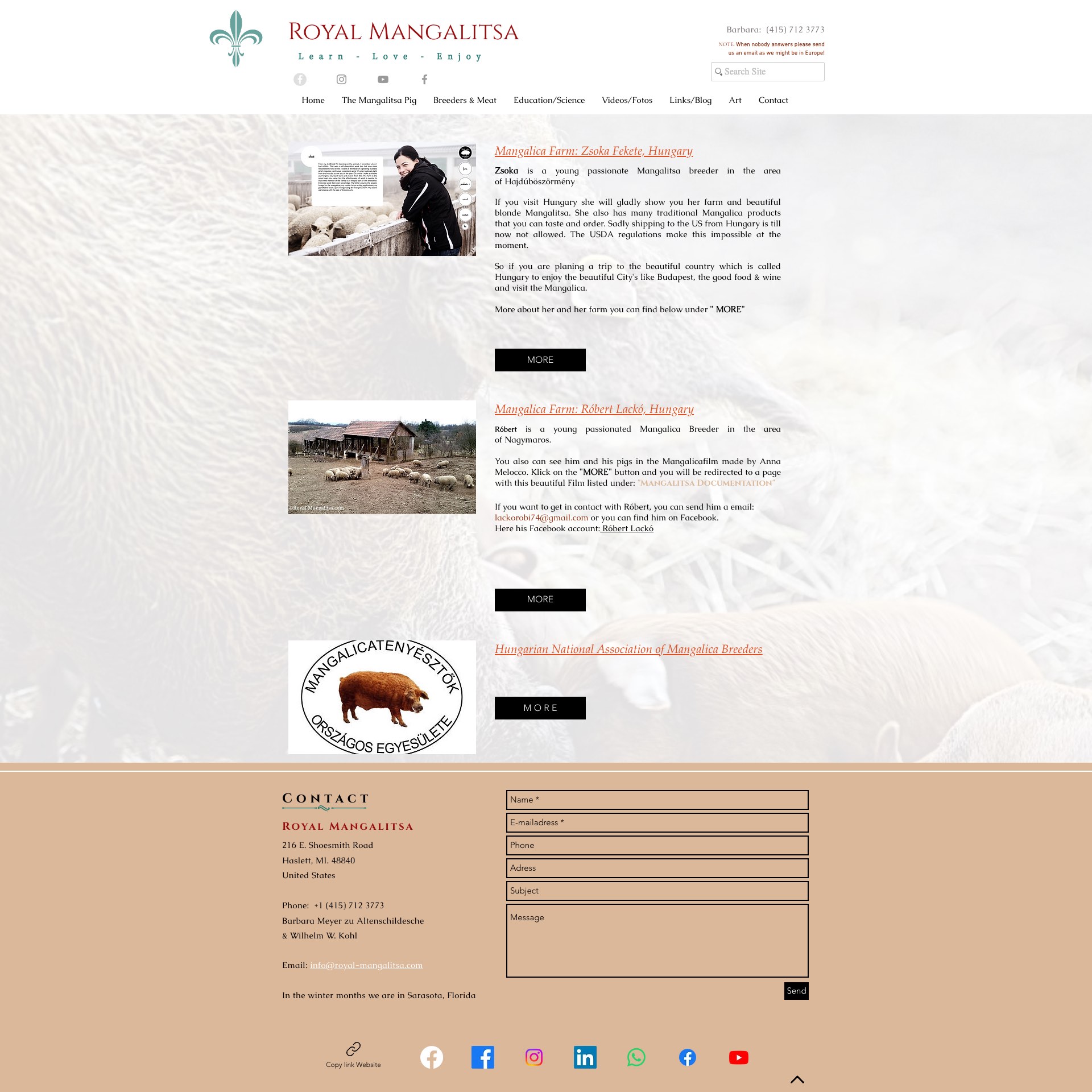 Royal Mangalitsa: Mangalica Farm: Zsoka Fekete, Hungary