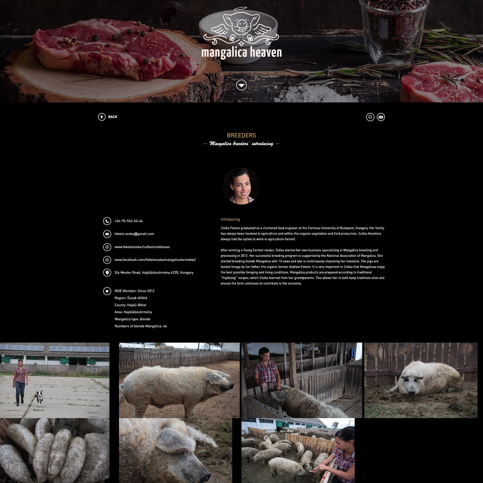 Mangalica Mennyország: Breeders – Zsóka Fekete
