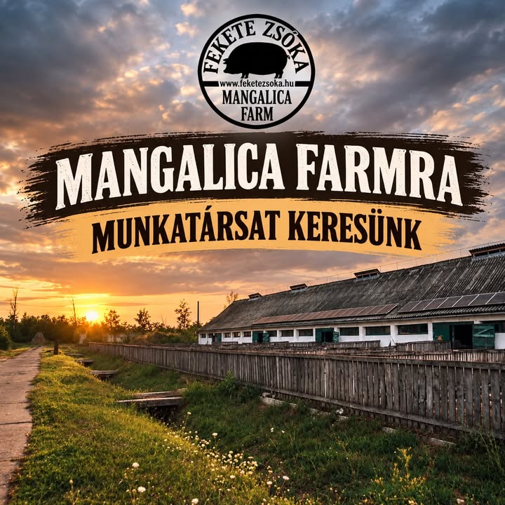 Állattartó telepre munkatársat keresünk!